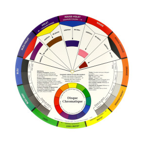 DISQUE DE COULEURS 24CM