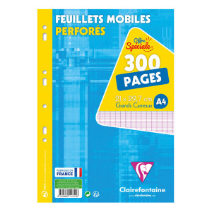 Feuillets mobiles perforés A4 Grand carreaux 300 pages